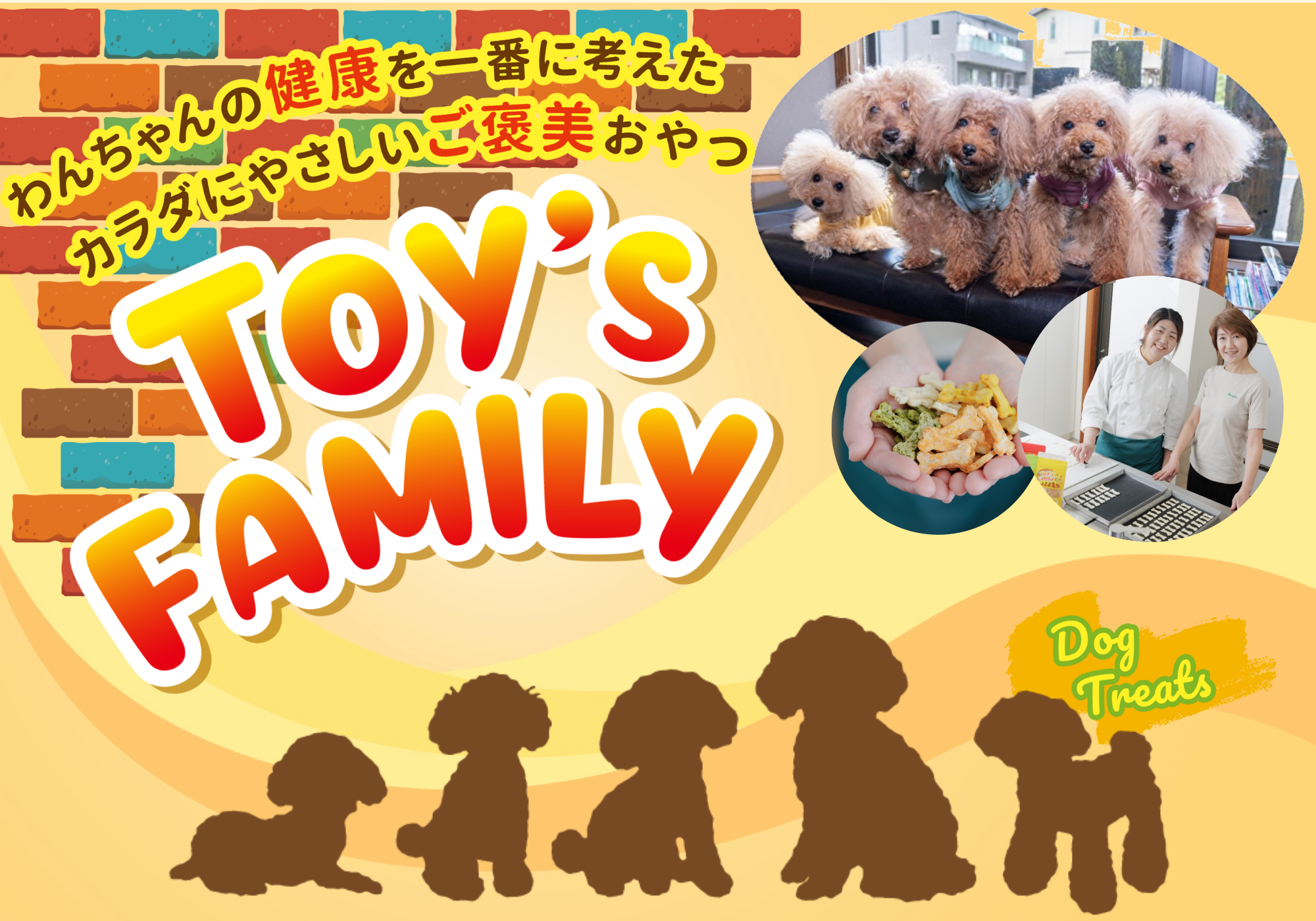 Toy"sFamily